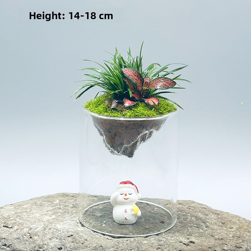 Ръчно изработена бутилка от боросиликатно стъкло за мъх с планински пейзаж