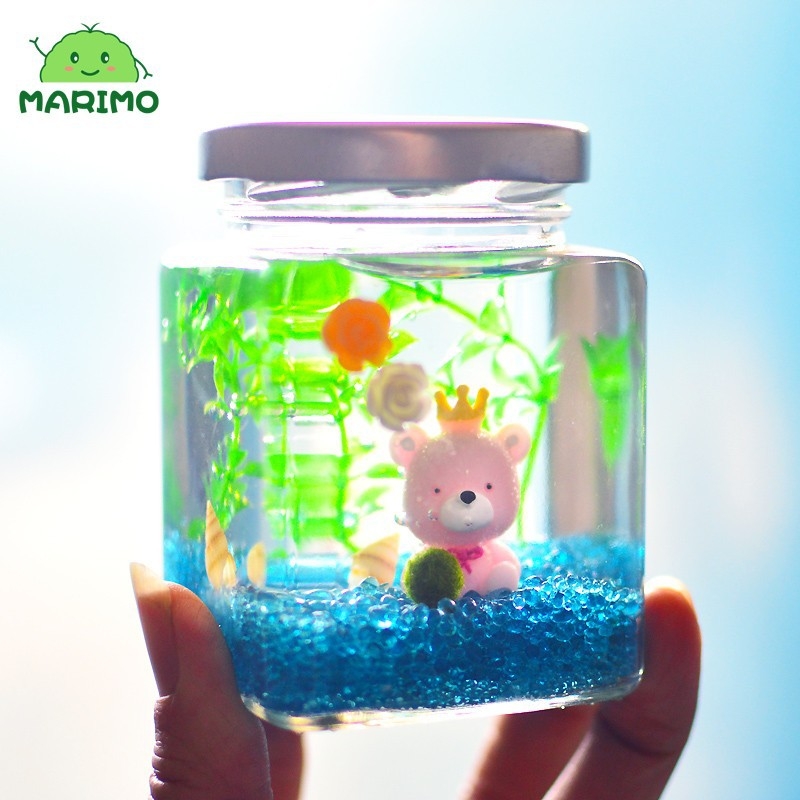 Комплект за отглеждане на маримо топчета в стъклена бутилка за бюро – мини екологичен пейзаж, подарък за Свети Валентин, с възможност за персонализация