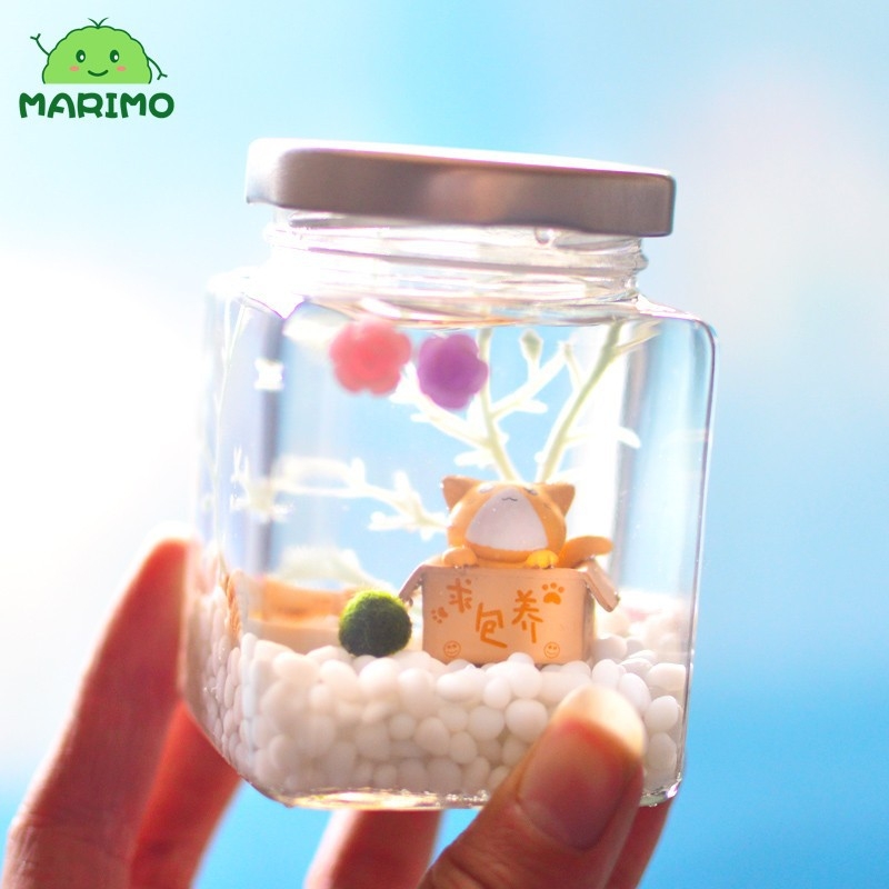 Комплект за отглеждане на маримо топчета в стъклена бутилка за бюро – мини екологичен пейзаж, подарък за Свети Валентин, с възможност за персонализация