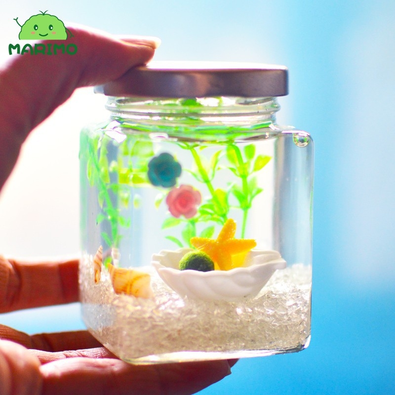 Комплект за отглеждане на маримо топчета в стъклена бутилка за бюро – мини екологичен пейзаж, подарък за Свети Валентин, с възможност за персонализация