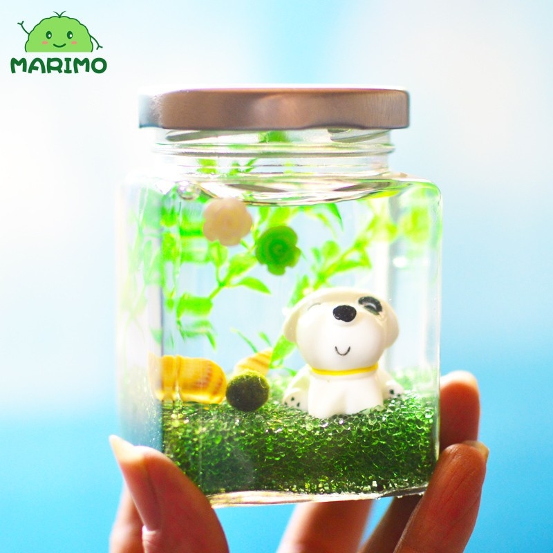 Комплект за отглеждане на маримо топчета в стъклена бутилка за бюро – мини екологичен пейзаж, подарък за Свети Валентин, с възможност за персонализация