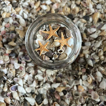 Decor acvariu miniatural cu scoică și stea de mare, cu sticlă de dorințe, lucrat manual, în stil chinezesc nou