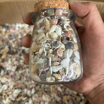 Decor acvariu miniatural cu scoică și stea de mare, cu sticlă de dorințe, lucrat manual, în stil chinezesc nou