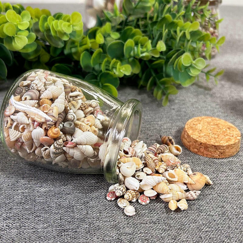 Decor acvariu miniatural cu scoică și stea de mare, cu sticlă de dorințe, lucrat manual, în stil chinezesc nou