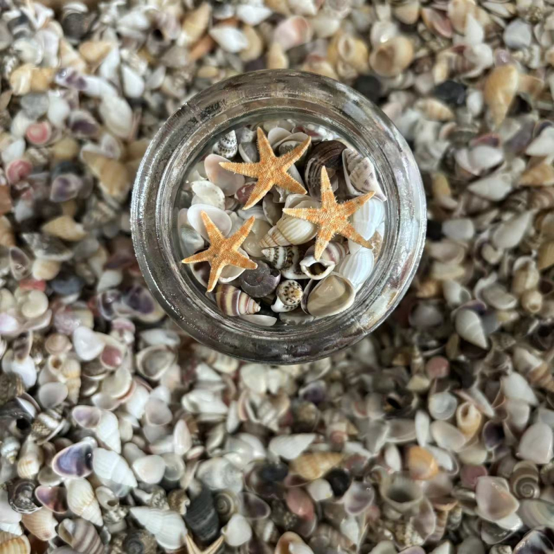 Decor acvariu miniatural cu scoică și stea de mare, cu sticlă de dorințe, lucrat manual, în stil chinezesc nou