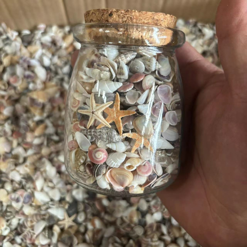 Decor acvariu miniatural cu scoică și stea de mare, cu sticlă de dorințe, lucrat manual, în stil chinezesc nou