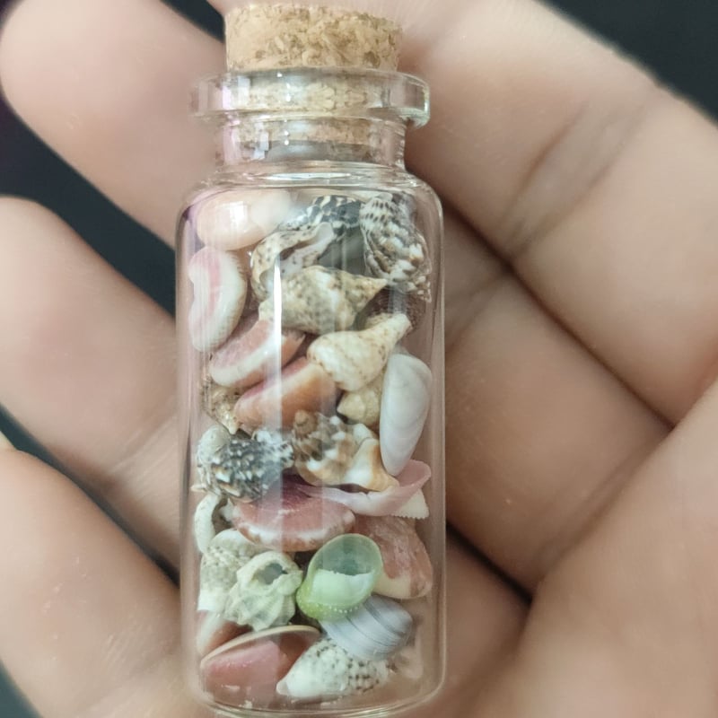 Decor acvariu miniatural cu scoică și stea de mare, cu sticlă de dorințe, lucrat manual, în stil chinezesc nou