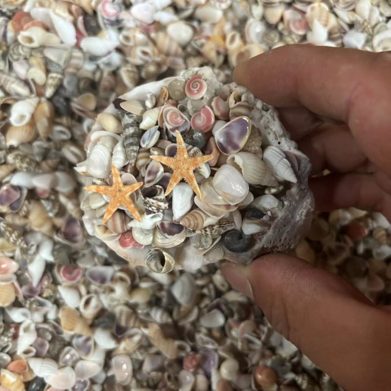 Decor acvariu miniatural cu scoică și stea de mare, cu sticlă de dorințe, lucrat manual, în stil chinezesc nou