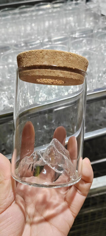 Υδροπονικό γυάλινο βάζο για μικροτοπίο μπονσάι, γυάλινο υλικό υψηλής αντοχής, συσκευασία από χαρτόνι, κατάλληλο για δώρο