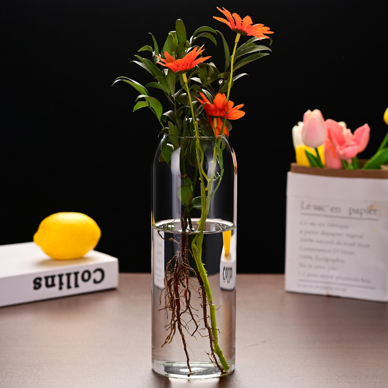 Βάζο με επίπεδο στόμιο από γυαλί υψηλής αντοχής (Μάρκα: Other; Συσκευασία: Χαρτοκιβώτιο)