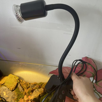Lampa za grijanje reptila s podesivom snagom, za kornjače, 25W/50W, materijal: željezo/plastika