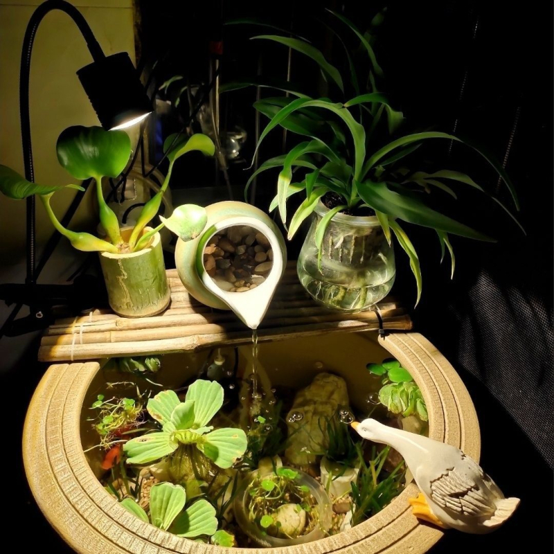 Lampa za akvarij, keramijski lonac za uzgoj riba, spremnik s vodom, dopunsko svjetlo za vodene biljke (Materijal: Drugo; Podrijetlo: Drugo; Uvoz: Ne; Snaga: Drugo; Težina: Drugo)