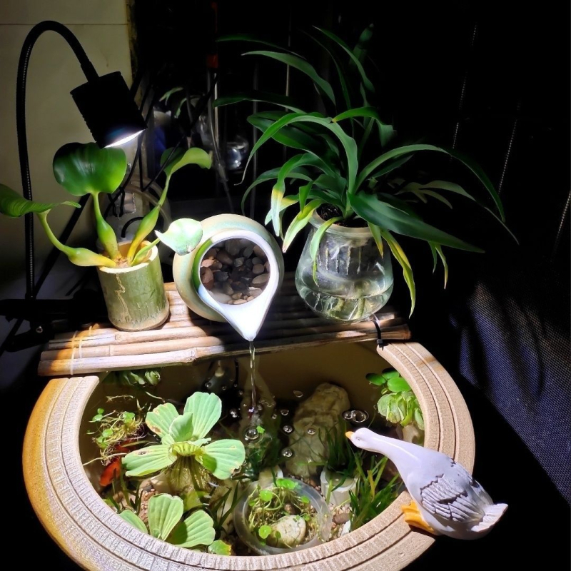 Lampa za akvarij, keramijski lonac za uzgoj riba, spremnik s vodom, dopunsko svjetlo za vodene biljke (Materijal: Drugo; Podrijetlo: Drugo; Uvoz: Ne; Snaga: Drugo; Težina: Drugo)