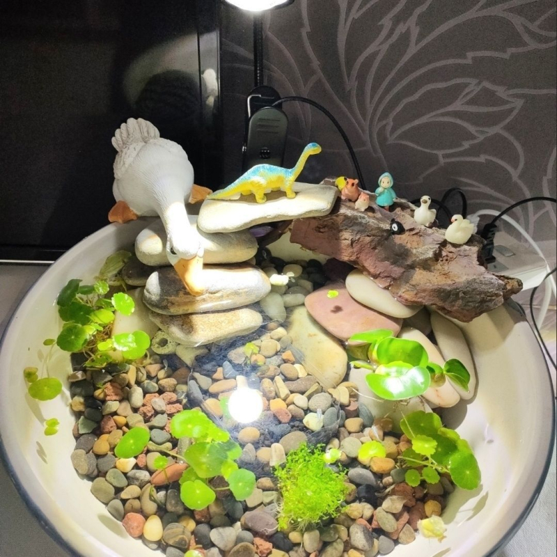 Lampa za akvarij, keramijski lonac za uzgoj riba, spremnik s vodom, dopunsko svjetlo za vodene biljke (Materijal: Drugo; Podrijetlo: Drugo; Uvoz: Ne; Snaga: Drugo; Težina: Drugo)
