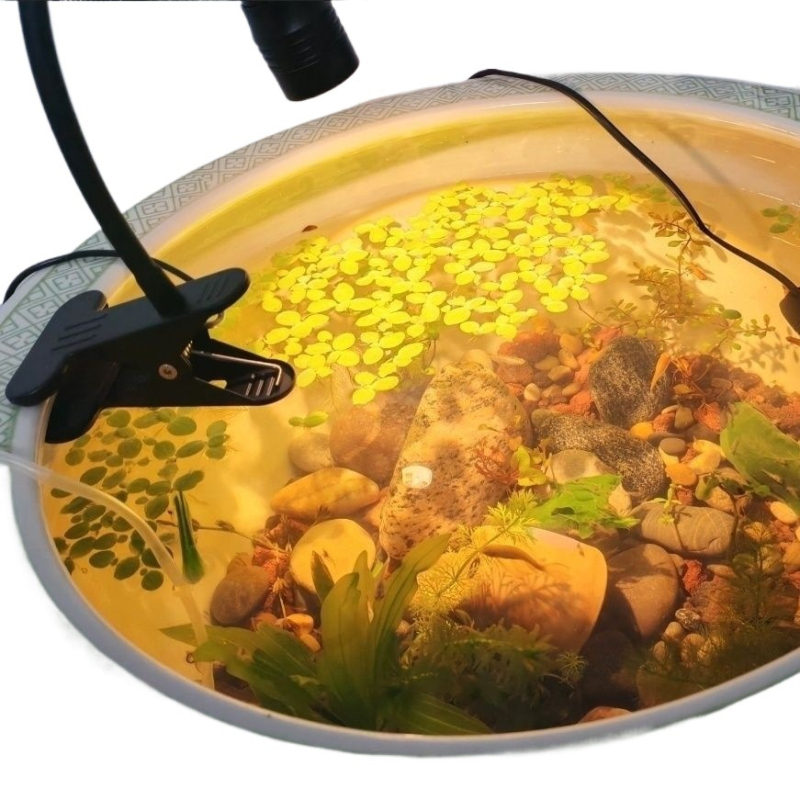 Lampa za akvarij, keramijski lonac za uzgoj riba, spremnik s vodom, dopunsko svjetlo za vodene biljke (Materijal: Drugo; Podrijetlo: Drugo; Uvoz: Ne; Snaga: Drugo; Težina: Drugo)