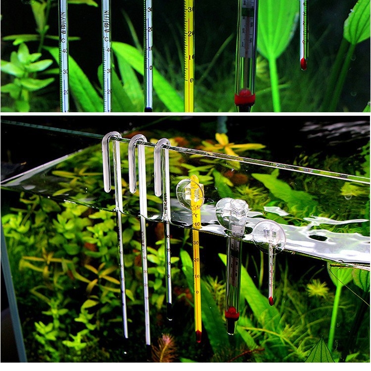 Γυάλινο θερμόμετρο ενυδρείου με ψηφιακή οθόνη, επιπλέων πλακίδιο μέτρησης θερμοκρασίας νερού