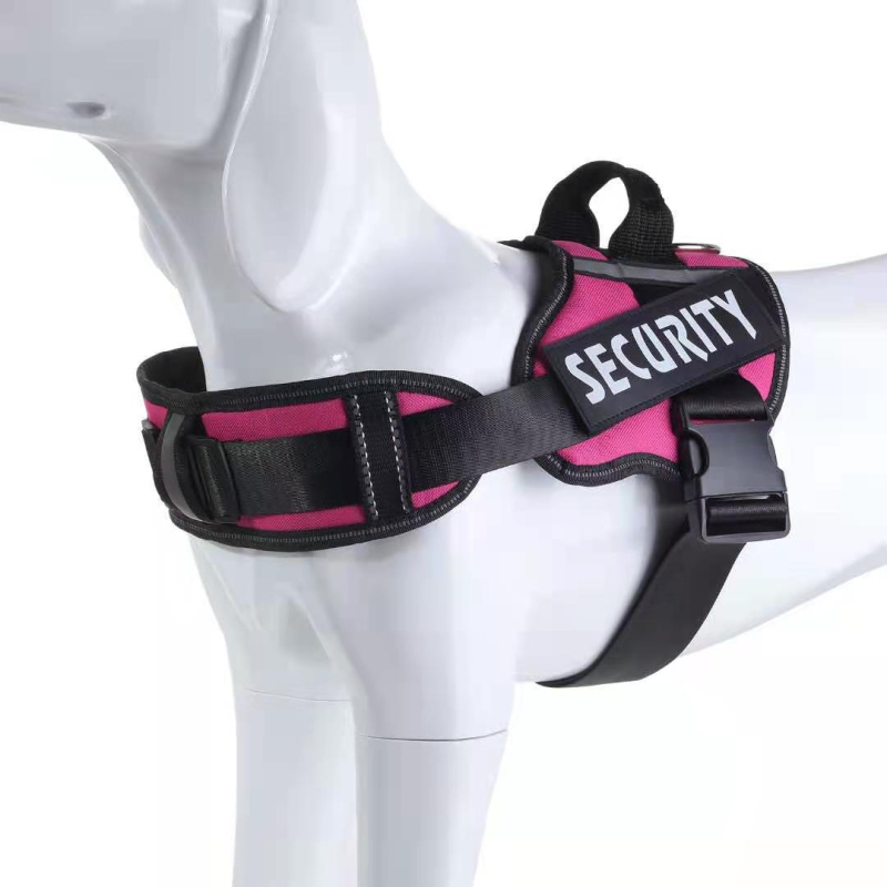 Állítható kutyahám nylonból készült mellény stílusú pórázzal
