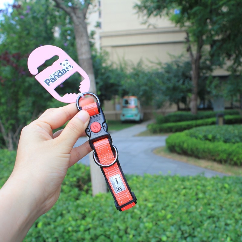 Golden Panda kutya nyakörv és póráz, nylon, nem nyújtható, kód 004