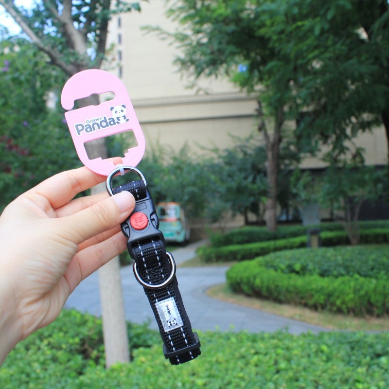 Golden Panda kutya nyakörv és póráz, nylon, nem nyújtható, kód 004