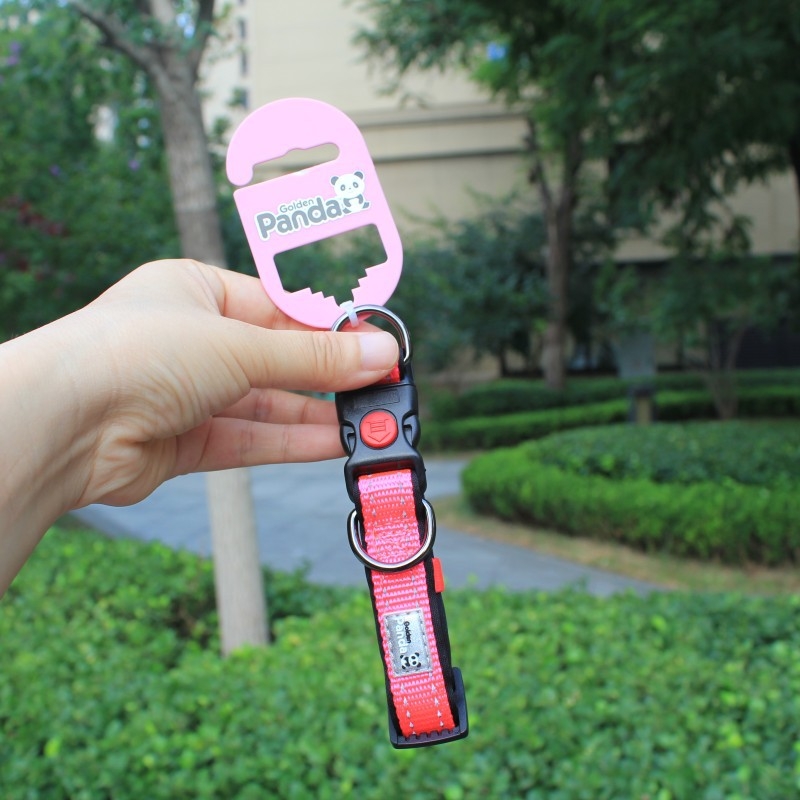 Golden Panda kutya nyakörv és póráz, nylon, nem nyújtható, kód 004