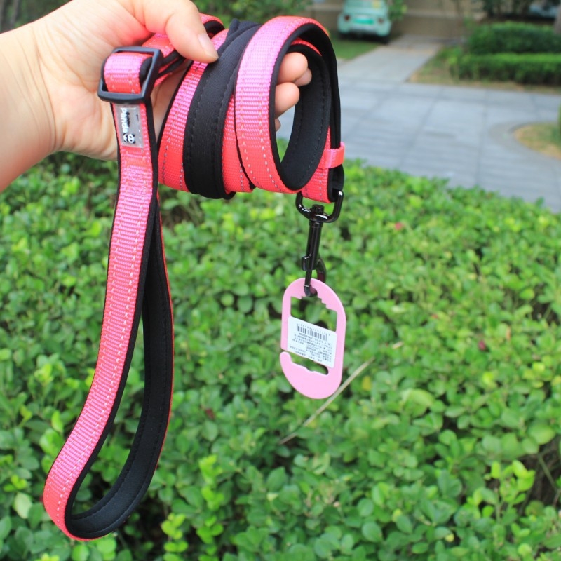 Golden Panda kutya nyakörv és póráz, nylon, nem nyújtható, kód 004