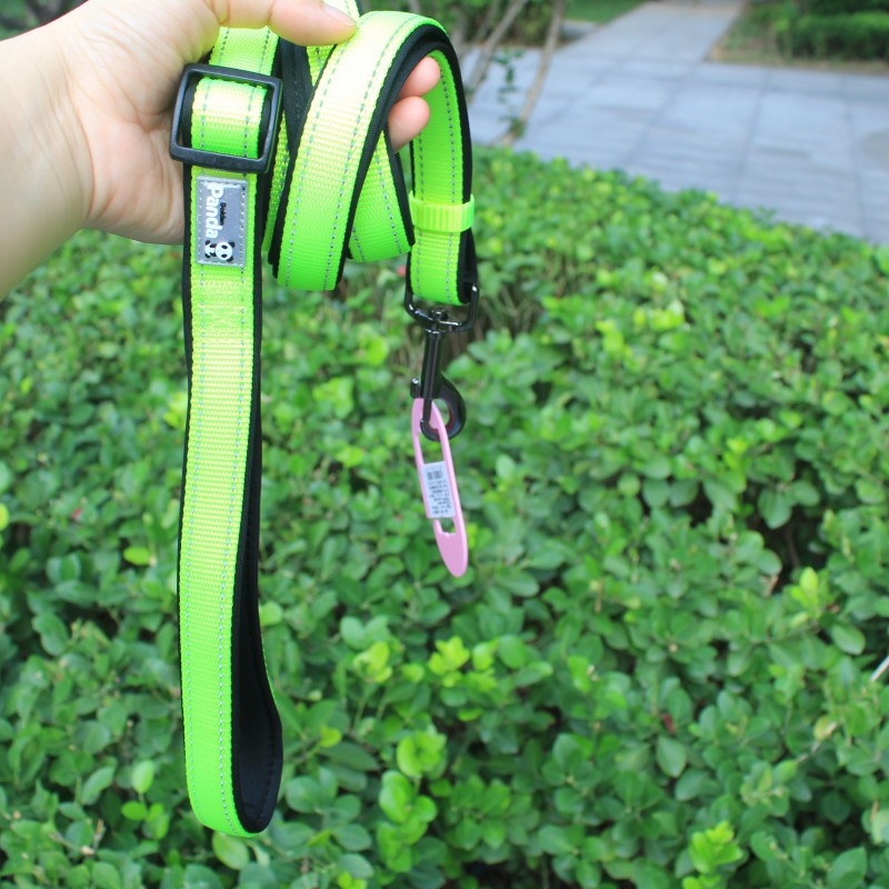 Golden Panda kutya nyakörv és póráz, nylon, nem nyújtható, kód 004