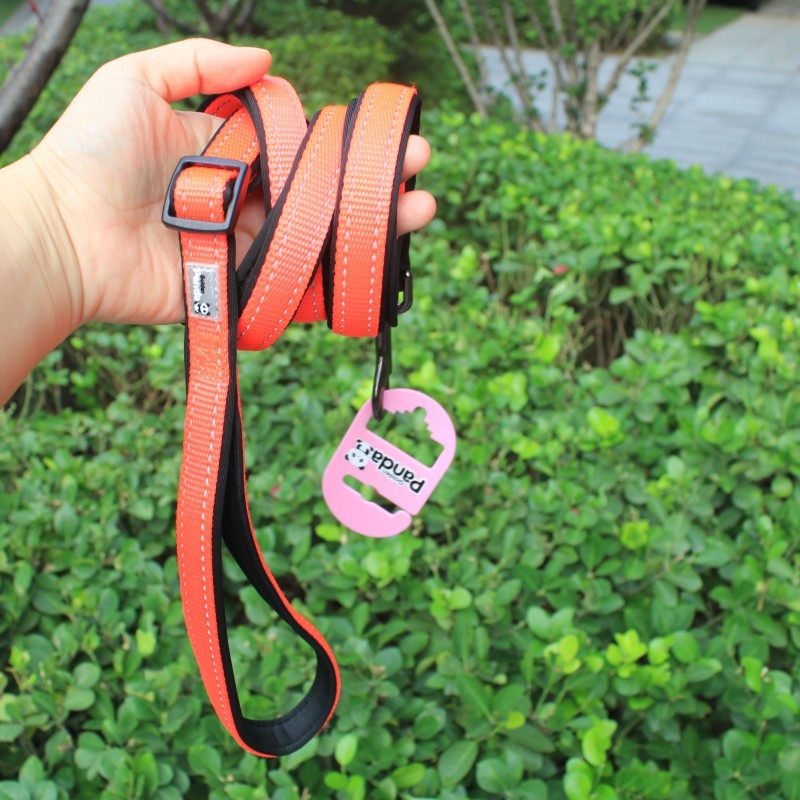 Golden Panda kutya nyakörv és póráz, nylon, nem nyújtható, kód 004