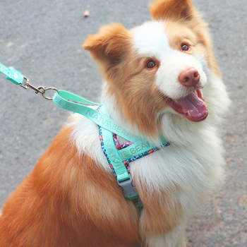 Hamn za psa, tip sedlo, prsni remen, prozračni poliester, lagan, otporan na eksplozije