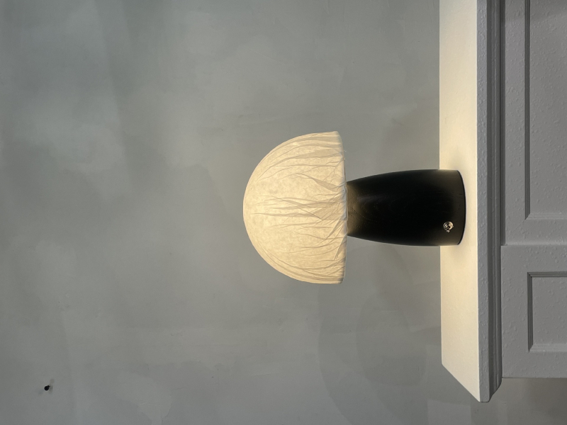 Ručna stolna lampa u japanskom stilu, oblik gljive, sjenilo od vlakana drveta, 220V, prekidač na gumb, CRI ≥95
