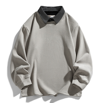 Πόλο πουκάμισο με μακριά μανίκια, twill σχέδιο, λεπτομέρεια κολλάζ, παχύ ύφασμα, συνδυασμένος τύπος