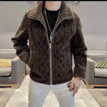 Muška zimska jakna od vune, s stojećim ovratnikom, debeli kroj, zip, slim fit