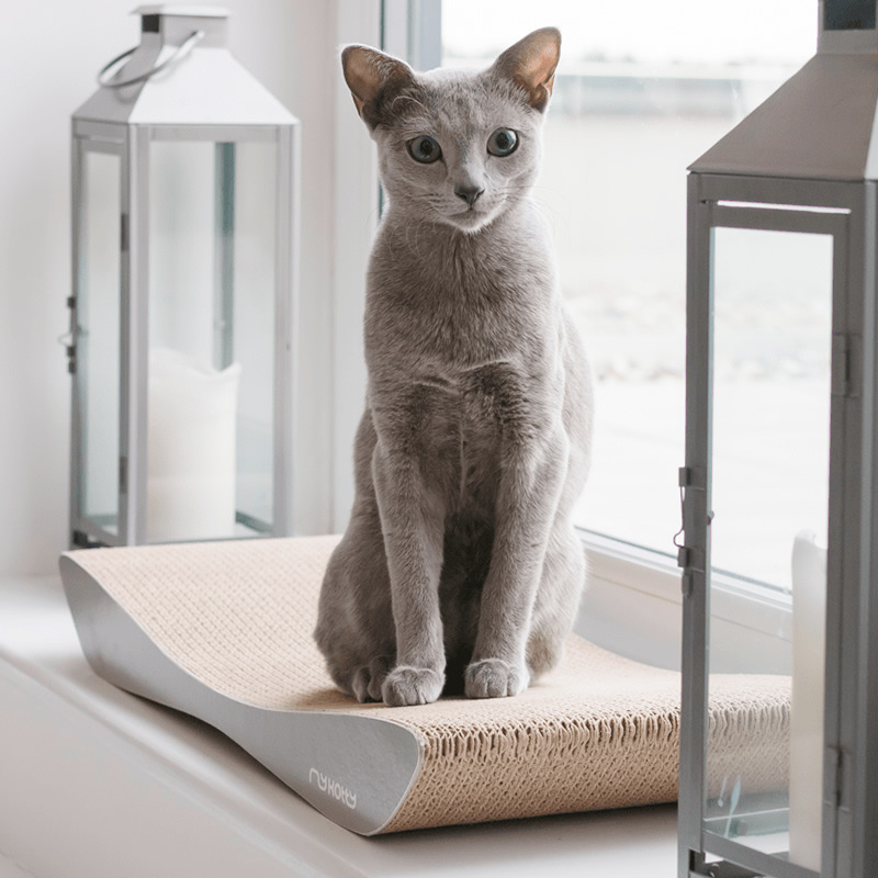 Pakon Paike macska karmoló deszka, A-osztályú hullámkarton, egyszerű stílus, dobozban 1 db