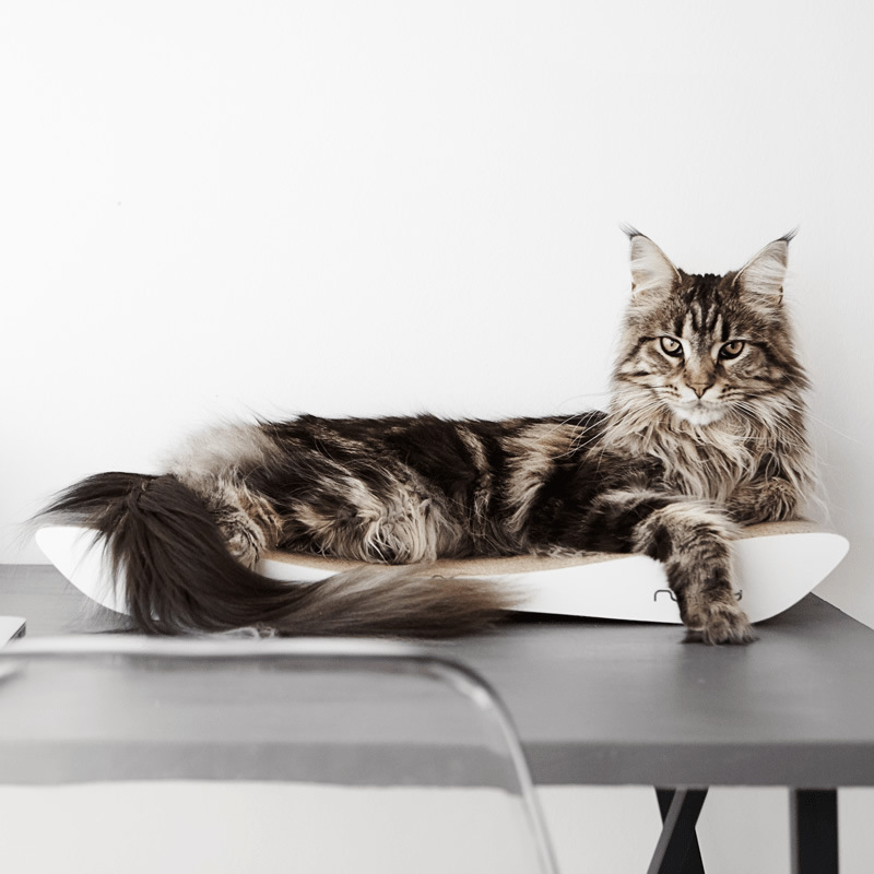 Pakon Paike macska karmoló deszka, A-osztályú hullámkarton, egyszerű stílus, dobozban 1 db