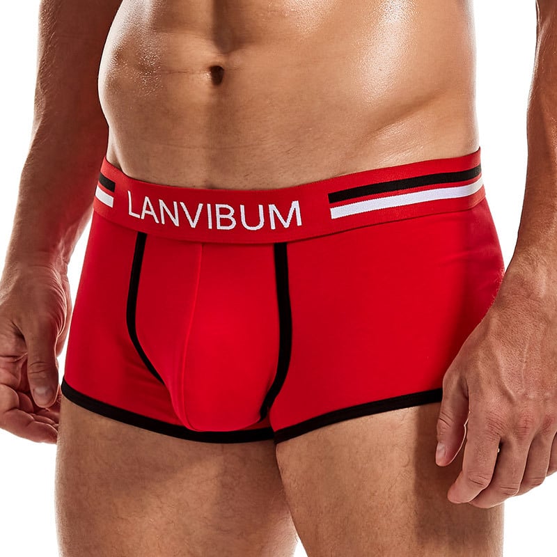 LANVIBUM Muške pamučne bokserice – srednji pojas, bezšivne, prozračne, uzorak u boji usklađen, 95–100% pamuka