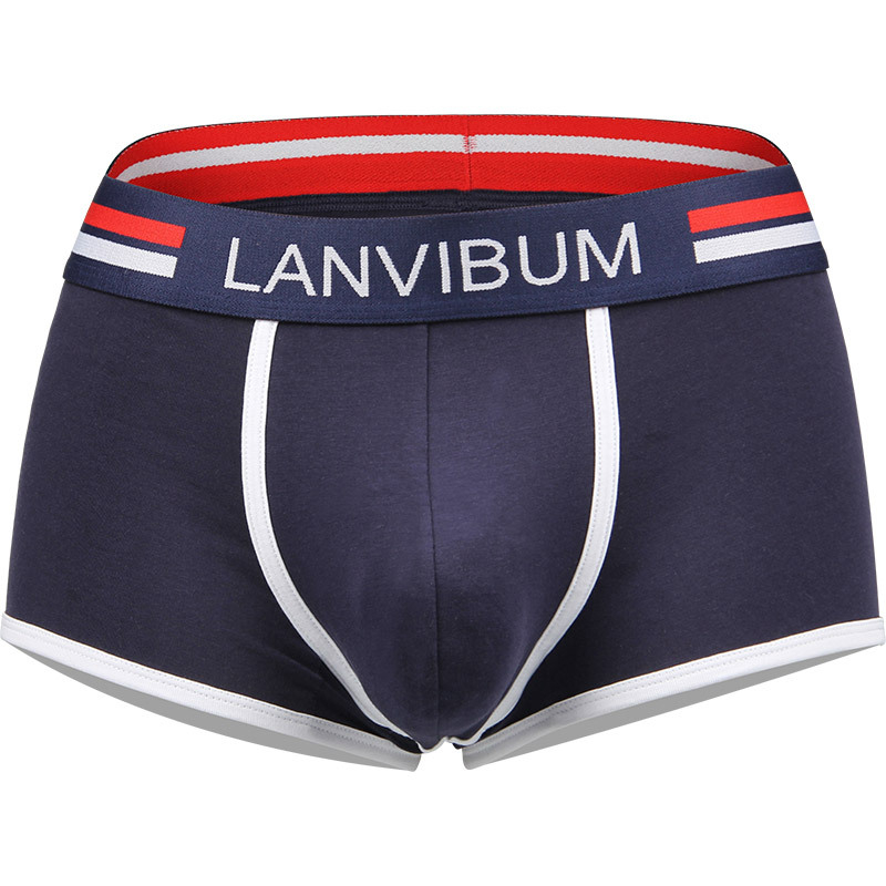 LANVIBUM Muške pamučne bokserice – srednji pojas, bezšivne, prozračne, uzorak u boji usklađen, 95–100% pamuka