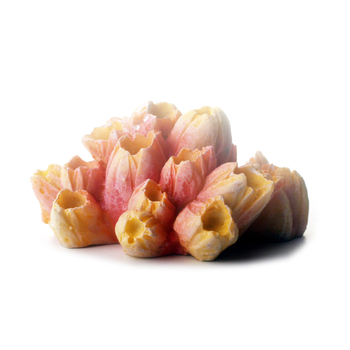 Gyantából készült akvárium táj háttere mohás zátony és korall díszekkel az akvárium dekorációjához