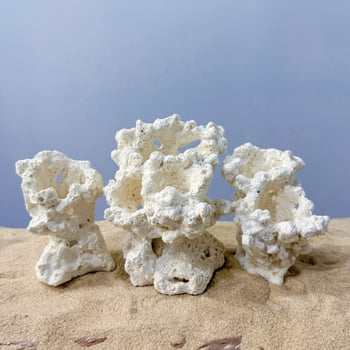 Akváriumi táj dekoráció szárított virágokból, száraz táj stílusú kő, díszítésre, márka Call the sea