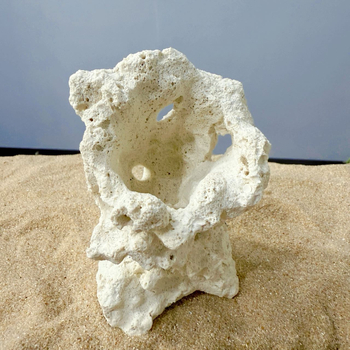 Akváriumi táj dekoráció szárított virágokból, száraz táj stílusú kő, díszítésre, márka Call the sea