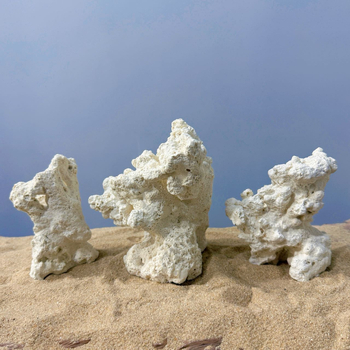 Akváriumi táj dekoráció szárított virágokból, száraz táj stílusú kő, díszítésre, márka Call the sea