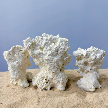 Akváriumi táj dekoráció szárított virágokból, száraz táj stílusú kő, díszítésre, márka Call the sea