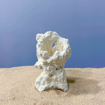 Akváriumi táj dekoráció szárított virágokból, száraz táj stílusú kő, díszítésre, márka Call the sea