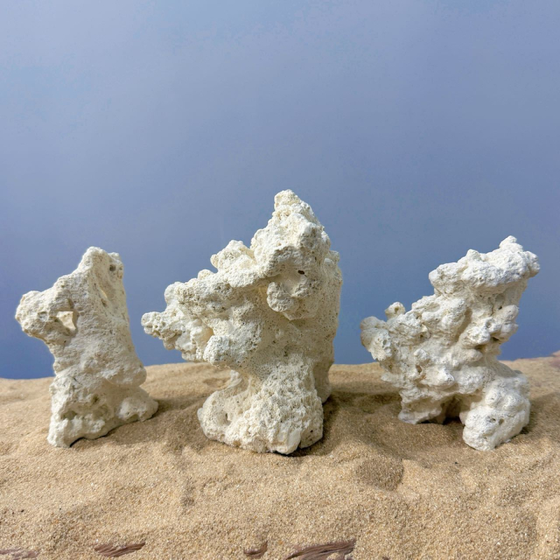 Akváriumi táj dekoráció szárított virágokból, száraz táj stílusú kő, díszítésre, márka Call the sea