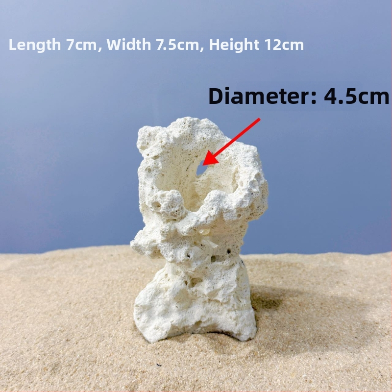 Akváriumi táj dekoráció szárított virágokból, száraz táj stílusú kő, díszítésre, márka Call the sea