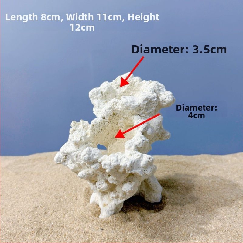 Akváriumi táj dekoráció szárított virágokból, száraz táj stílusú kő, díszítésre, márka Call the sea