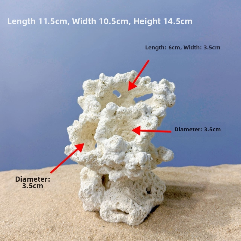Akváriumi táj dekoráció szárított virágokból, száraz táj stílusú kő, díszítésre, márka Call the sea