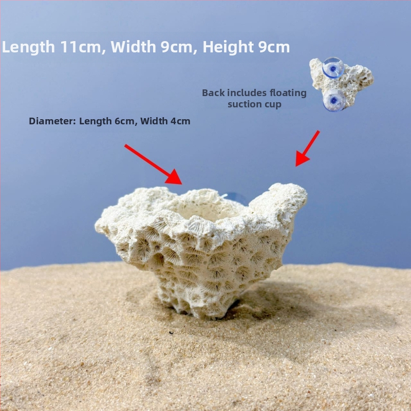 Akváriumi táj dekoráció szárított virágokból, száraz táj stílusú kő, díszítésre, márka Call the sea