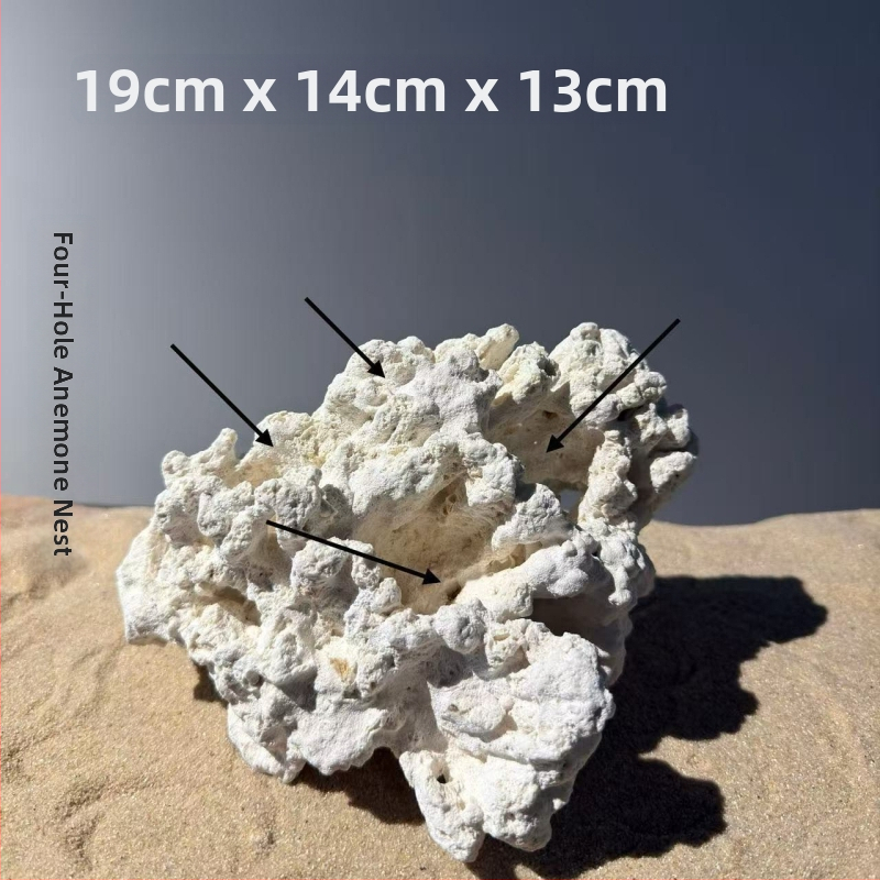 Akváriumi táj dekoráció szárított virágokból, száraz táj stílusú kő, díszítésre, márka Call the sea