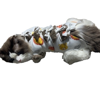 Μετεγχειρητικό ρούχο γάτας μετά από στείρωση — αναπνεύσιμο 100% βαμβάκι, στυλ Πριγκίπισσα, μάρκα Yuyou