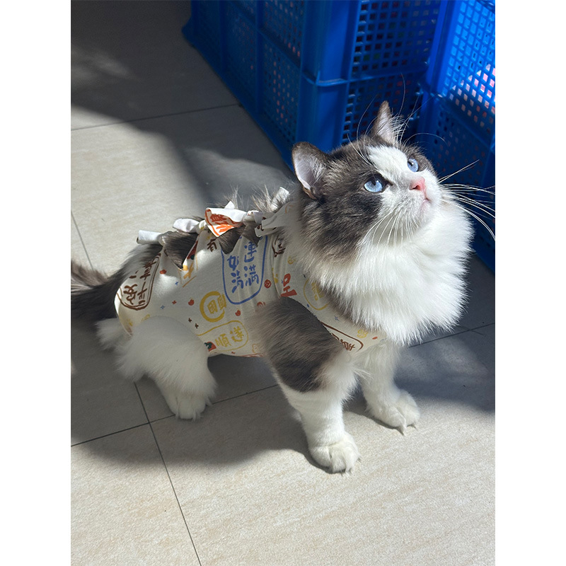Μετεγχειρητικό ρούχο γάτας μετά από στείρωση — αναπνεύσιμο 100% βαμβάκι, στυλ Πριγκίπισσα, μάρκα Yuyou
