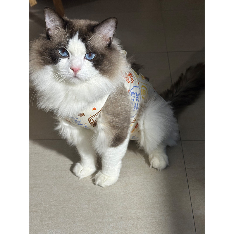 Μετεγχειρητικό ρούχο γάτας μετά από στείρωση — αναπνεύσιμο 100% βαμβάκι, στυλ Πριγκίπισσα, μάρκα Yuyou